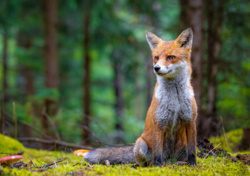 6a49c428-68e4-417b-8bae-69e6c14b18c4