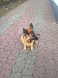 2d5ea95e-7d54-4c9f-bf42-dfff827ccb77