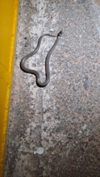 f3234e7a-7cf0-4938-92b0-2c5ed6373135