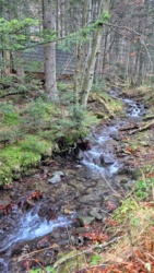 5cdc4852-b896-41b0-884d-f866bd7e6803