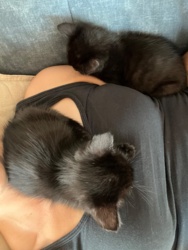 caafc950-1d4d-4cd3-92dc-6339208ac613