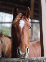 007b7421-7c44-495a-b922-a076cf4e48cb