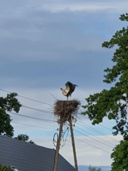 2b880529-c6e2-443a-8e68-96091b327972