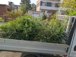 2859661c-a193-4060-8121-c0861be17e1b