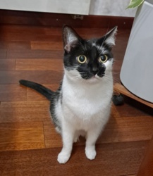 2d0d41f0-5904-4d67-b9c2-eac1603868dd