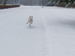 7a623089-ad1c-43ac-940d-429d3cc70aae