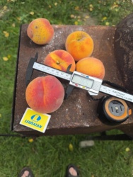 7708db3b-5b60-49af-a8eb-872cd392c39b