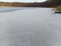 3c4e650e-2a2d-49eb-abc9-bca0905eaba8