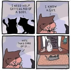 23508960-cc48-4466-9fa3-02e527c750d6