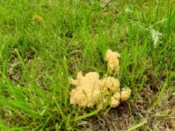 f0d50d38-bcbb-4f65-bae7-f3ed95f8cb5b