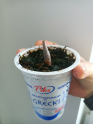 f29db839-f080-475a-bc5d-ad6a17677eb1