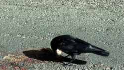 cdd19b47-f21d-4495-ada3-dcb0de2b8191