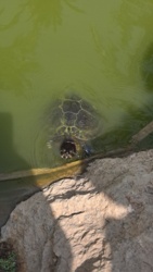 8c91f0ea-3bbe-446d-bedd-4307e99a865a