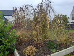 444f3a99-72c0-4a3f-9217-dbe6adcd77ee