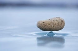 e1fb7819-08b8-49f5-88ac-81e8fa60209d