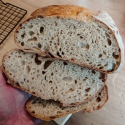 106174e1-506a-4bc3-aa5a-4acc2a586cc9