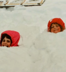 17fa4e0d-e763-496b-b66c-a83c06709726