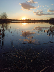 c44c07d5-6d8f-4894-beb7-7f0b9237c5aa