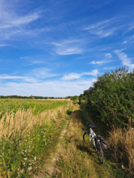 85a7e260-d603-409e-b51a-efaf332ee4c8