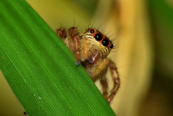 80e828ff-5832-4def-a89a-050148d20083