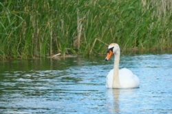 e83bc73f-237e-493d-b590-ff26de9dd5ec