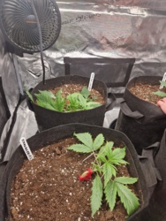 e9963ada-e561-4a1b-b709-7a8b5cecb8a1