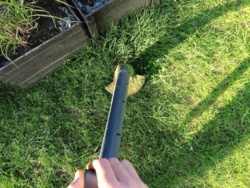 e6f2ab12-4759-4e80-970a-9bb4fd3d4768