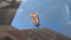 da64d407-5bab-479a-a5d0-c3cf87ac9a7d