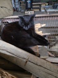 bcfd1b3a-789c-4952-83d0-4a6f15fa94ee