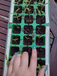 07f35e3e-ddee-42ae-a504-55620787a182