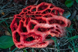 5858f02c-ab4e-4438-9213-f13503bf8ae2