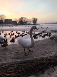 70686fa3-9fff-4f2b-a82a-7f623597653b