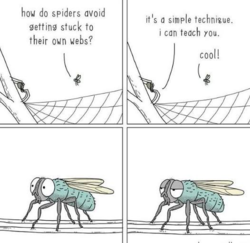 bd03b3fa-3169-414d-87f3-2dbc1075945d