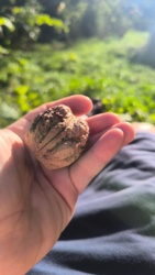 3c8d84bd-6611-4ec2-aa46-30eee616225e