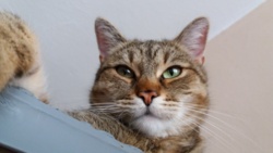 415ef3ea-81ce-49e0-9432-4079fc184b63