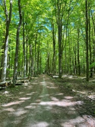 9424bfec-9843-409d-9546-c4579acbc614