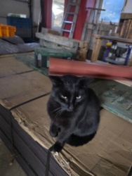 308b605b-a511-419b-968d-11b205a1c5ba