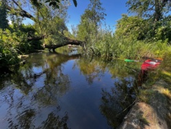 863619ad-3070-45c9-9731-16fd0729893e