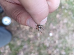 dcfa8afc-4e19-45f3-bd68-9dc8bd9d05b9