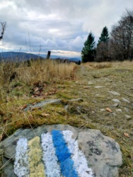 5d0d9a19-d1c9-46ec-9b4a-155ba02cb4c2