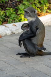 e76738e4-f1fd-418e-b079-5e6ef77bb2dc