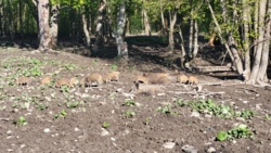 4500eceb-1993-4f5d-b6d7-f4902d626f6e