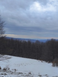 6ff2102d-4f0e-45c3-bb44-f5fe1cc8402d