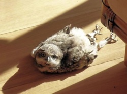 0a5b5211-62c1-4867-bfdb-e0ad4f89ba8d