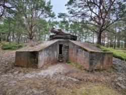 2e9513cf-6395-4ae4-a40a-1fb05803c329