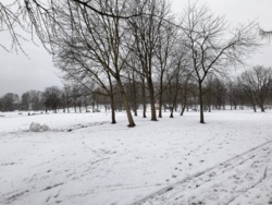 c693e0f7-930b-4365-9976-5afa275e5d37