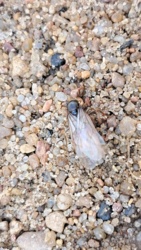 70f1027f-c491-4ae7-adbe-384e2a3690d0