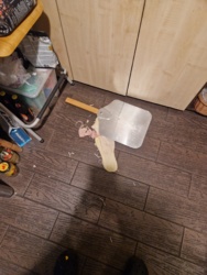 7c2c0b5b-f923-4883-a96b-d10912fa8405