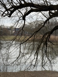 292f0973-216b-42d1-b572-c22977135304