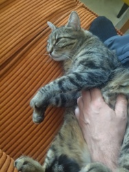 d9a2b544-e54d-40ec-a5af-cf1e526e9f29